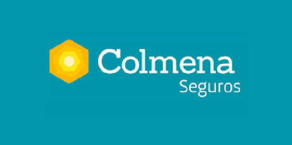 spirit-seguros-logocolmena-80